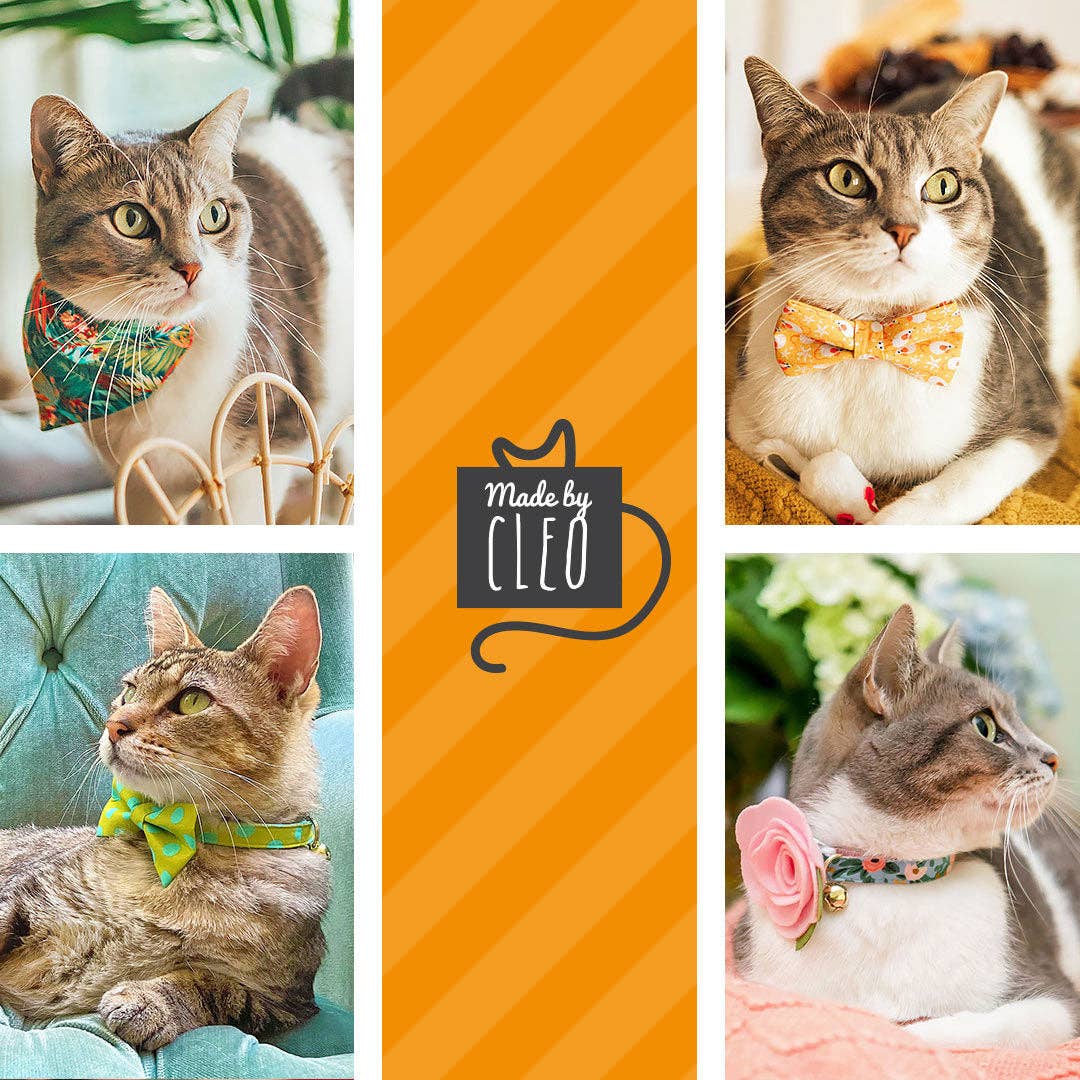 "Carousel" - Bow Tie for Cats + Small Dogs