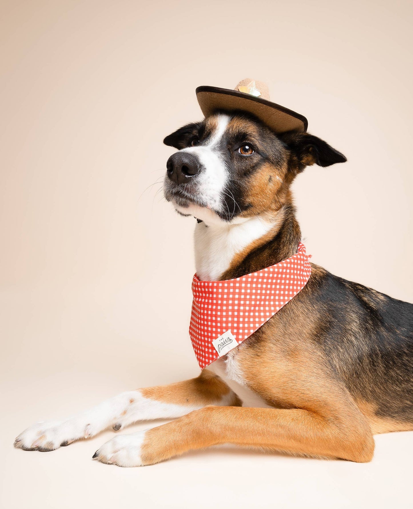 Red Gingham Dog Bandana