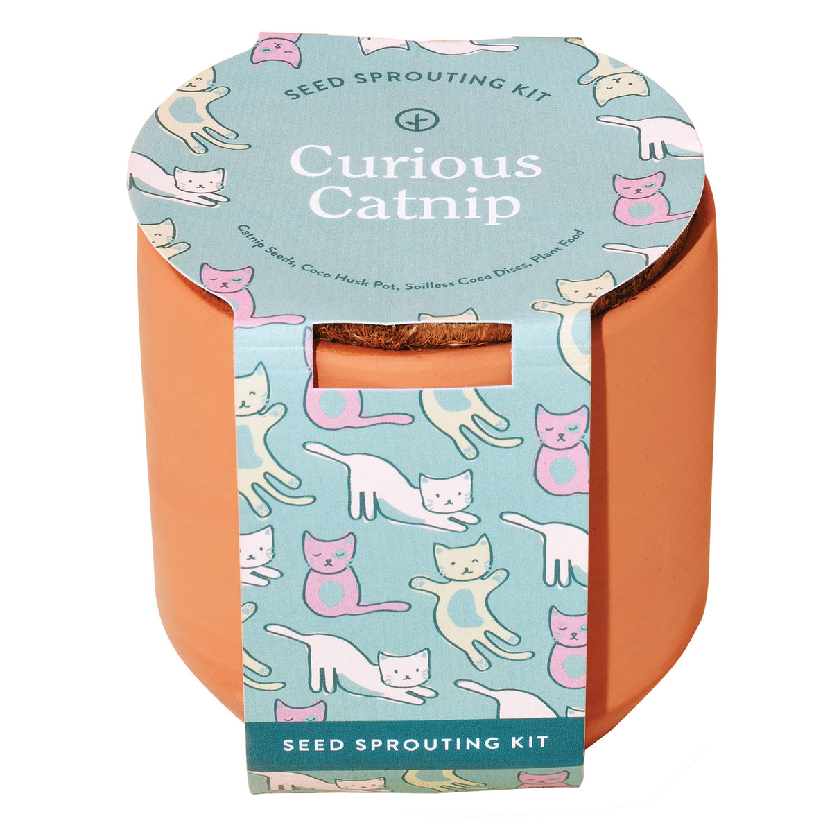 Modern Sprout | Tiny Terracotta Curious Catnip Grow Kit