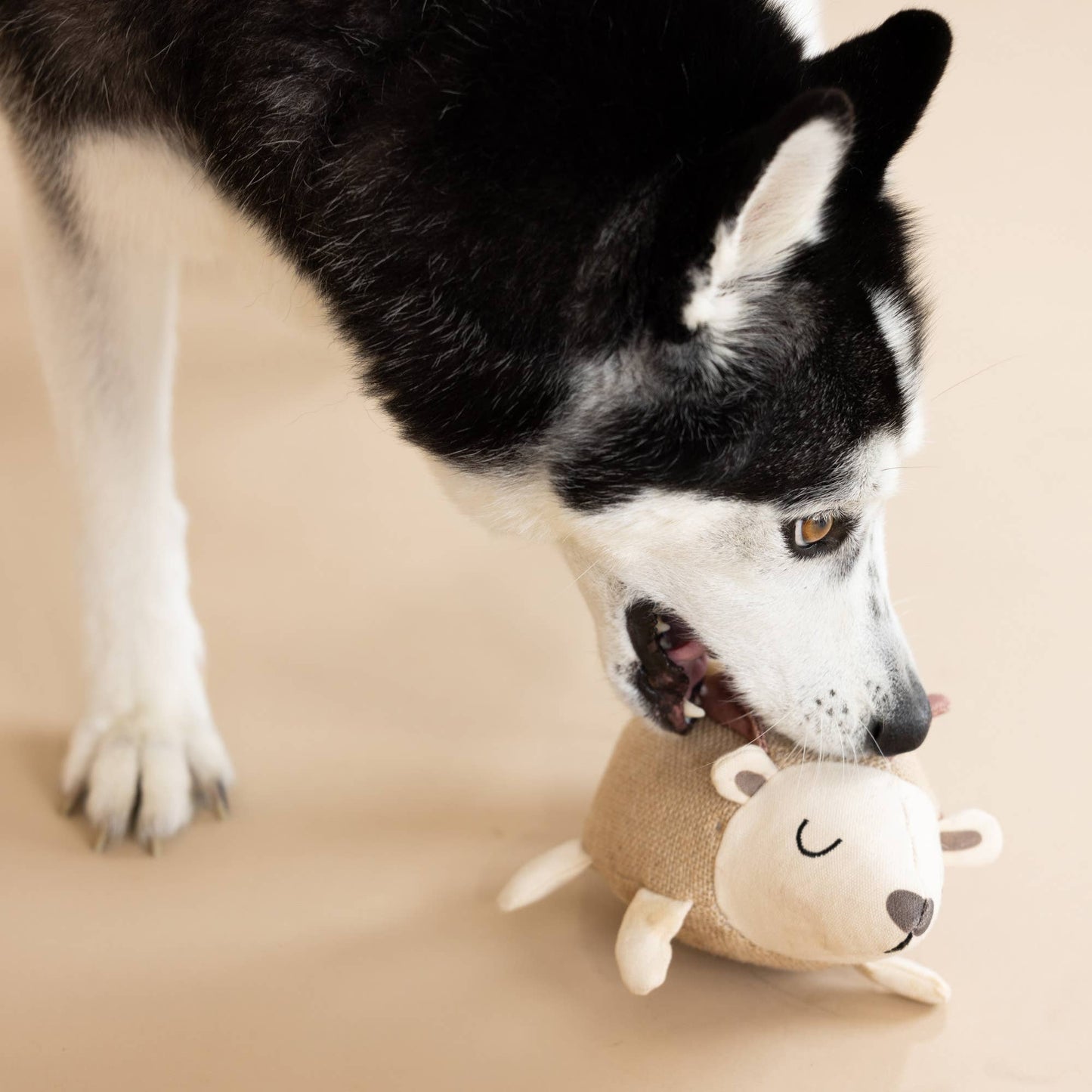 EARTH FRIENDLY DOG TOY HEDGY