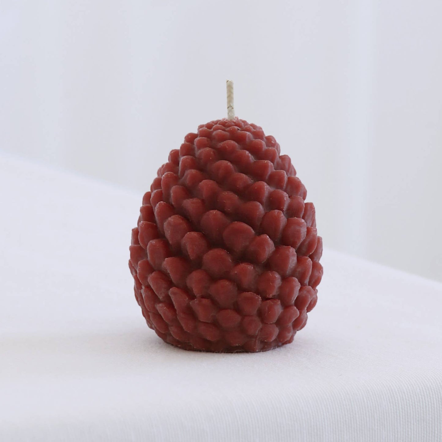 Mo&Co Home Exclusive: Sculpted Beeswax Pine Cones