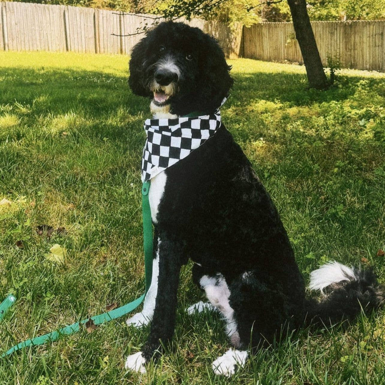 Chess Dog Bandana