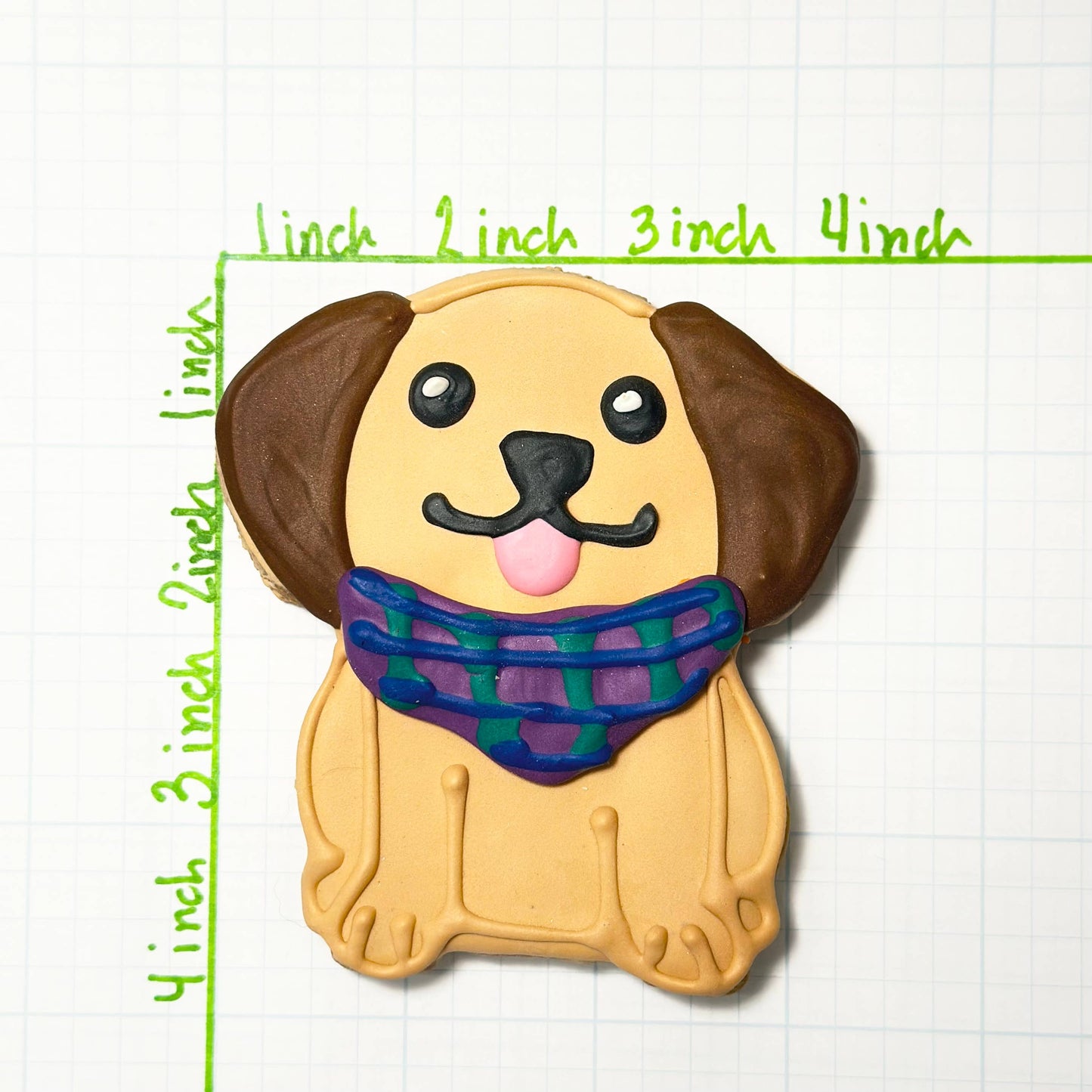 Fall Dog Cookies