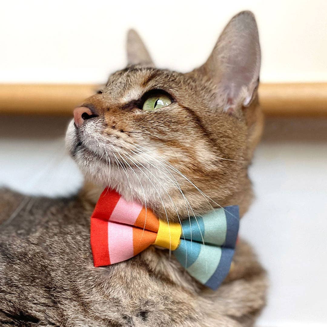 "Carousel" - Bow Tie for Cats + Small Dogs