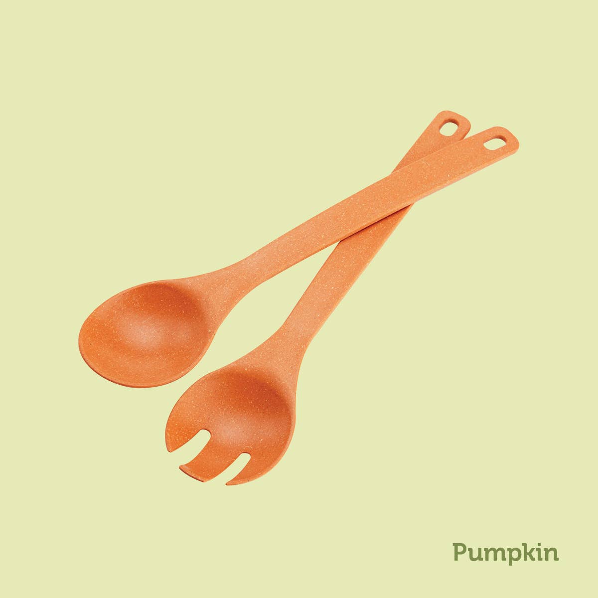 Fork and Spoon Set