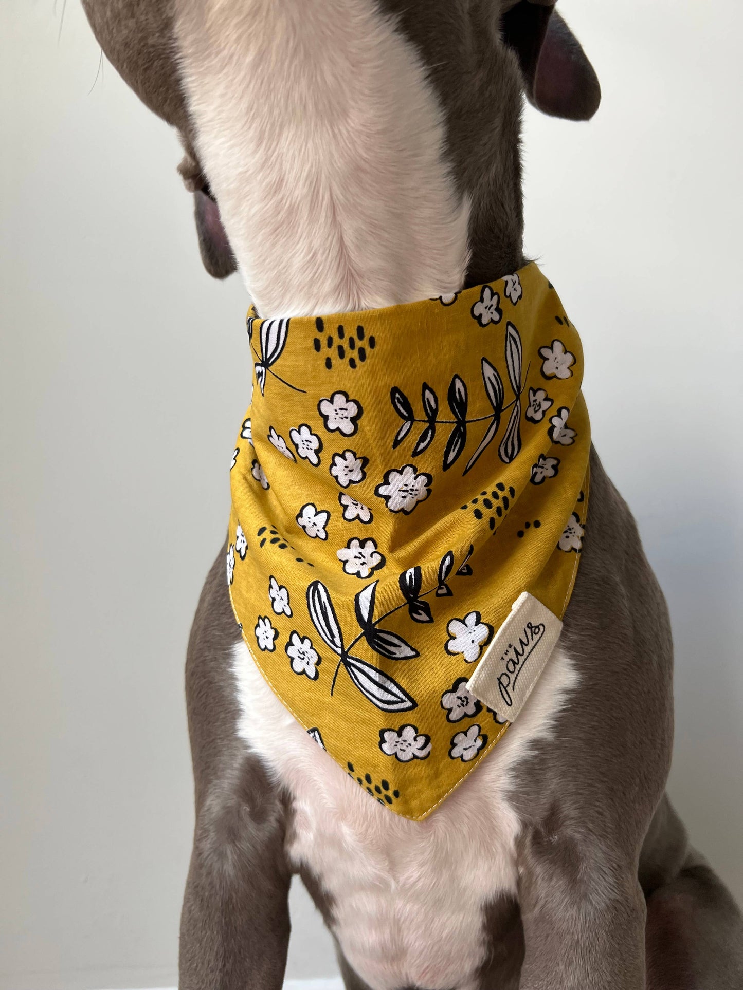 Goldie Dog Bandana