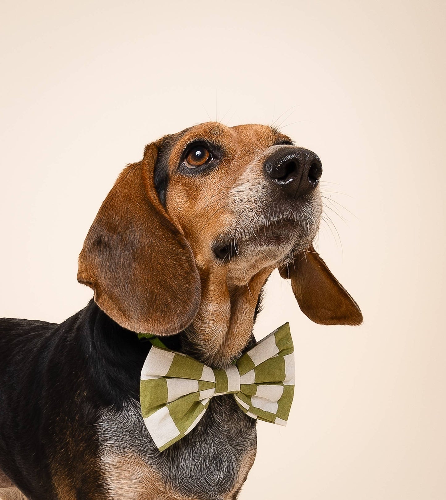 Bow Tie - Checkmate