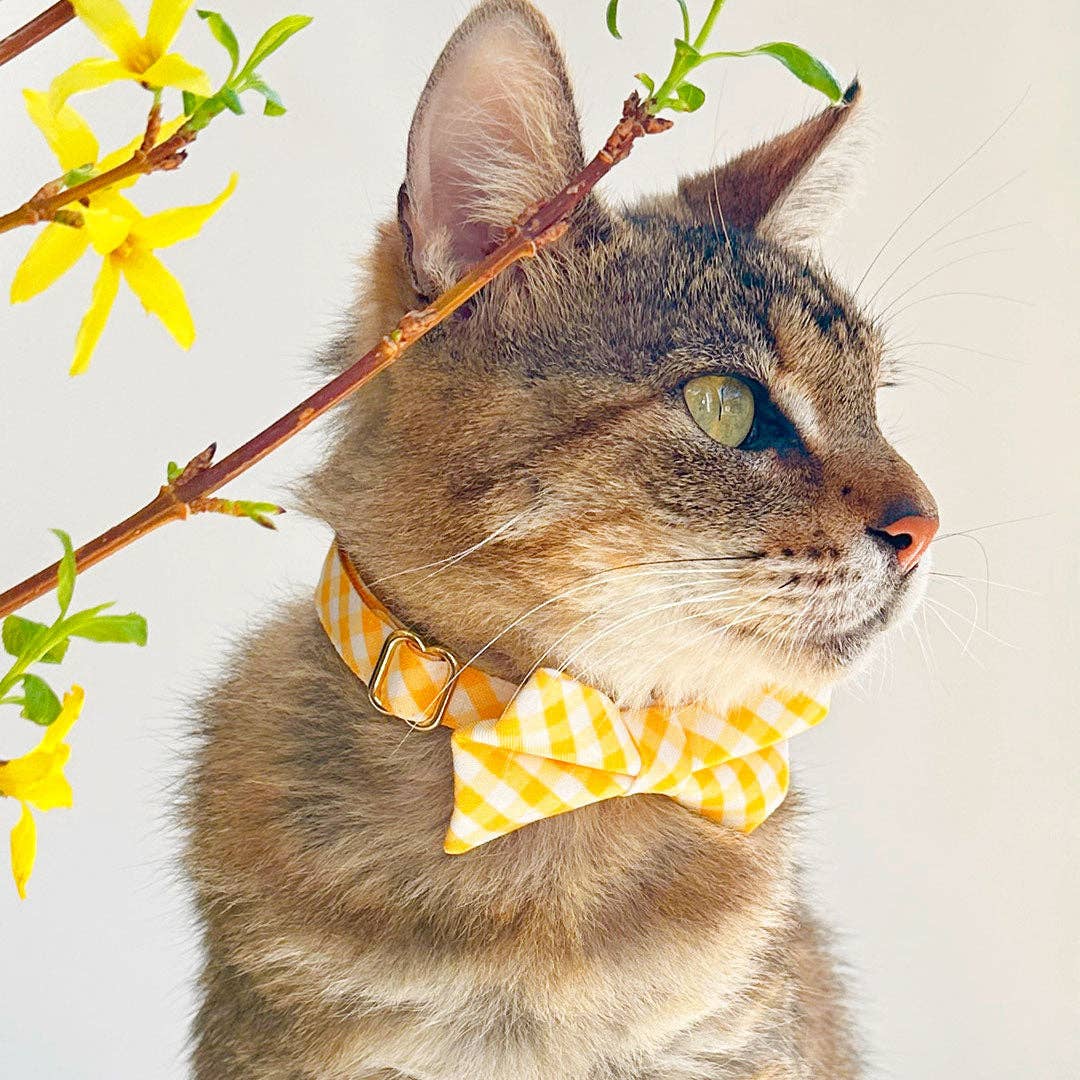 "Picnic" - Yellow Gingham Bow Tie for Cats + Small Dogs