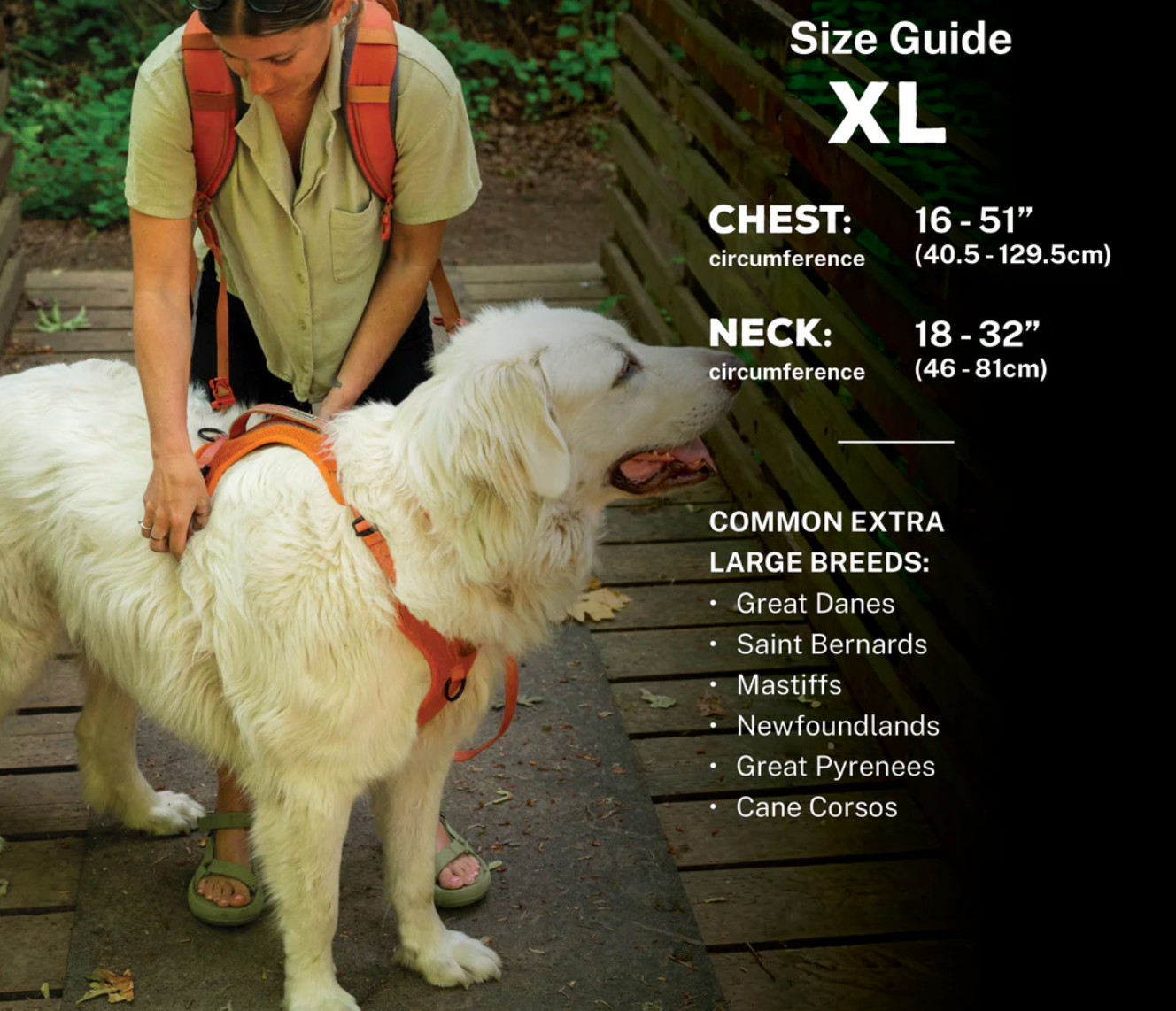 Wilderdog | Seafoam Dog Harness
