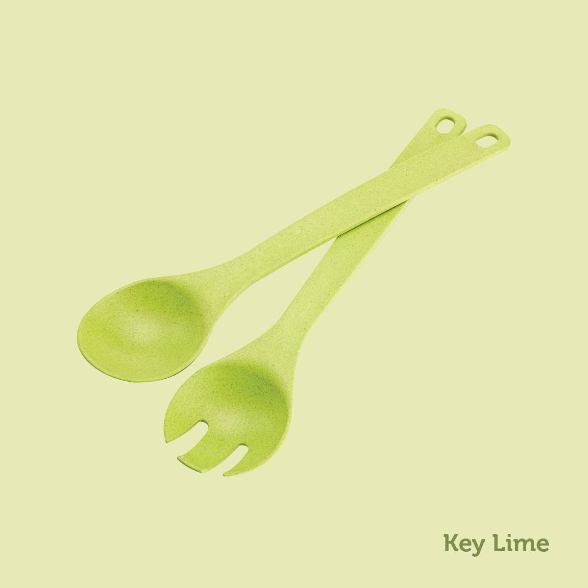 Fork and Spoon Set