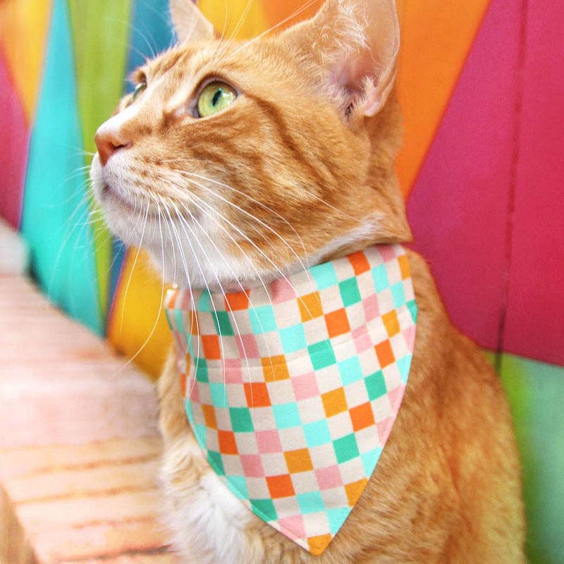 "Checkmate" - Pastel Checkered Bandana for Cats + Small Dogs