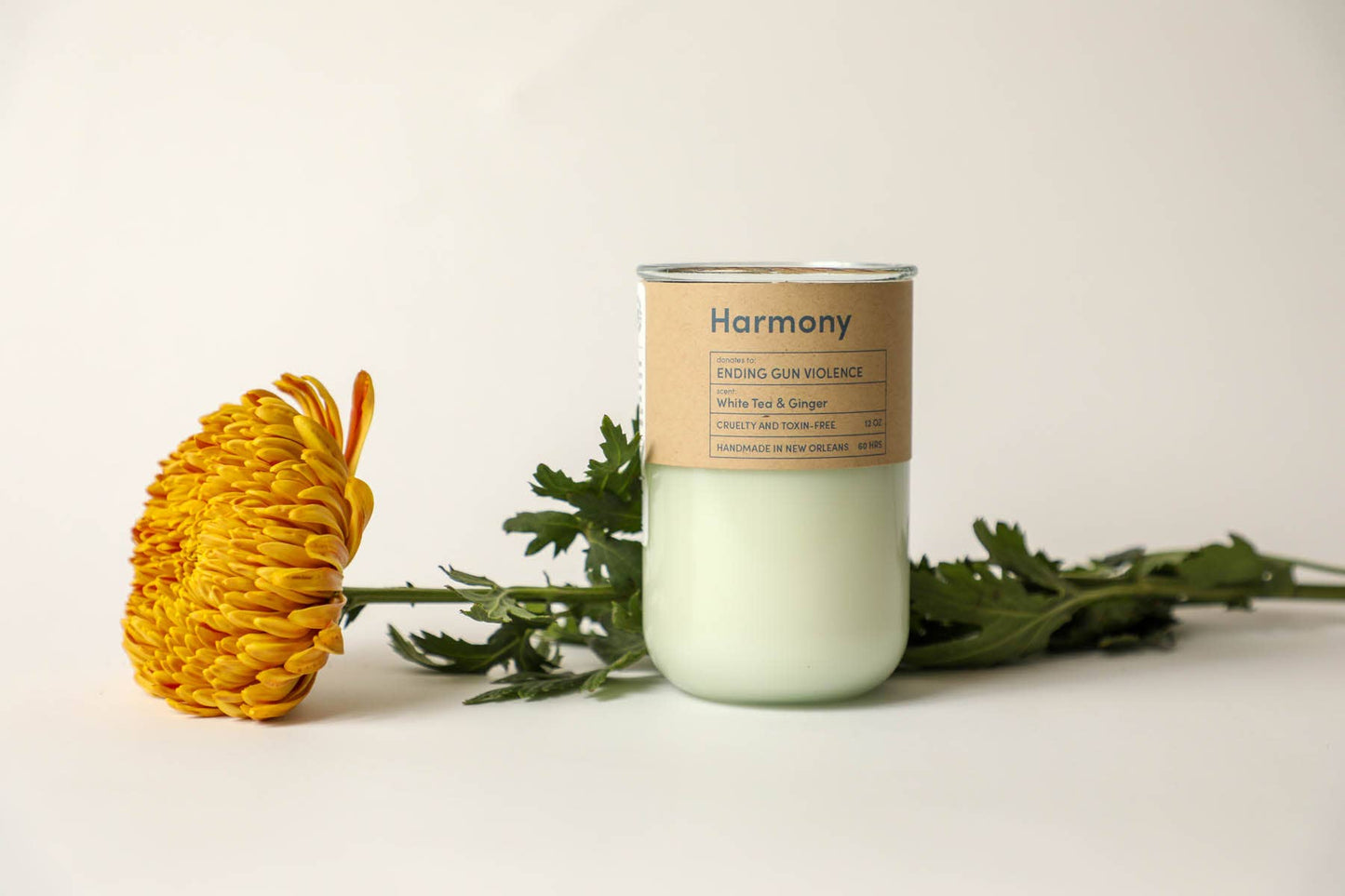 Harmony, Tea & Ginger Candle, End Gun Violence, Eco Friendly Soy