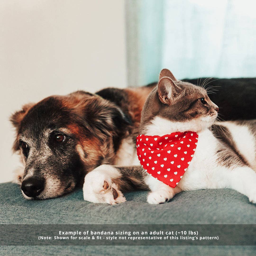 "Carousel" - Bandana for Cat + Small Dog