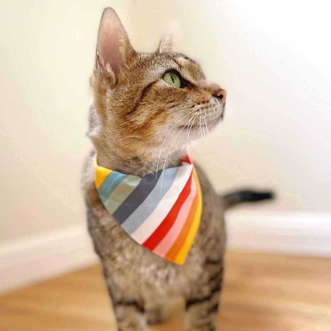 "Carousel" - Bandana for Cat + Small Dog