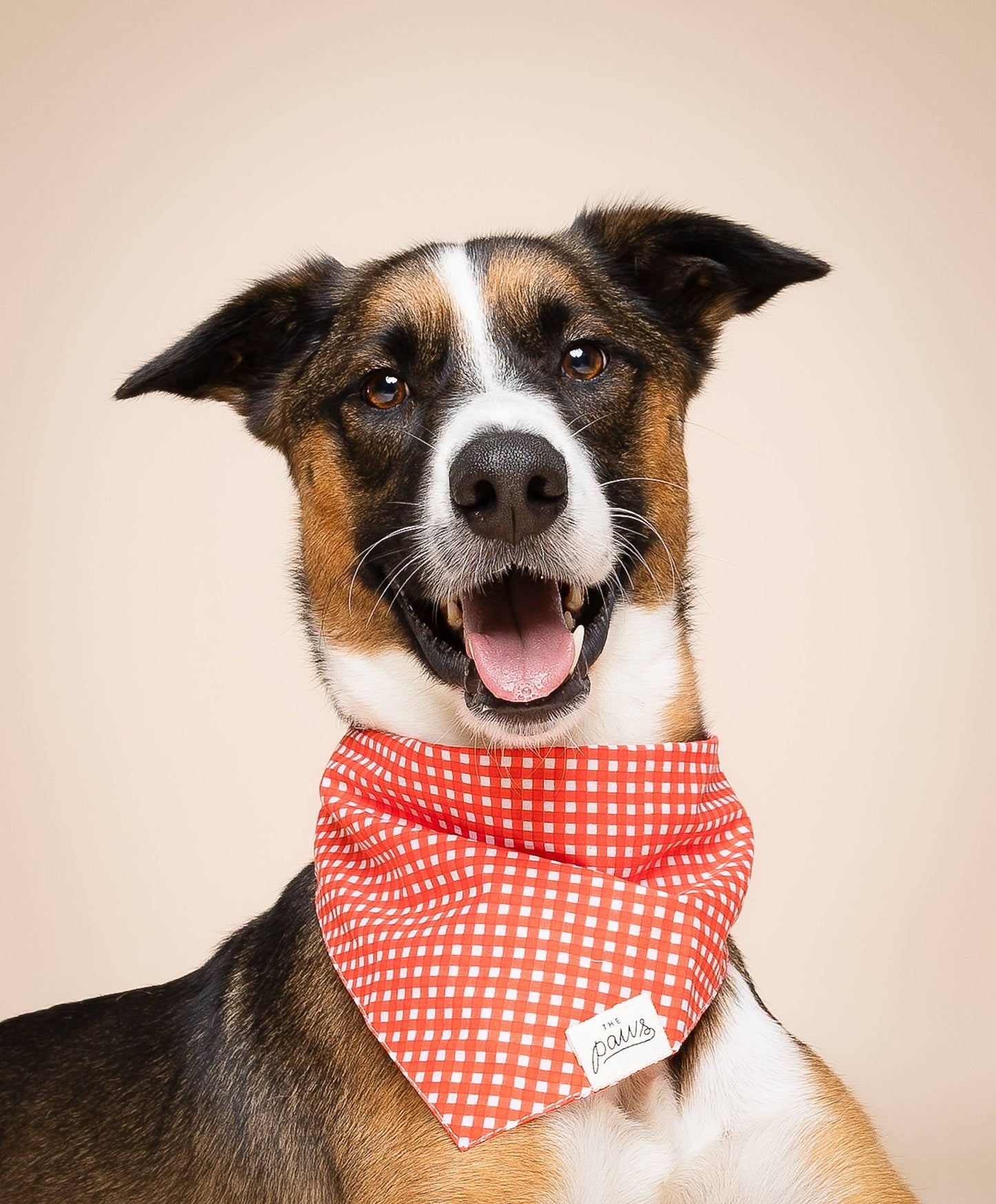 Red Gingham Dog Bandana
