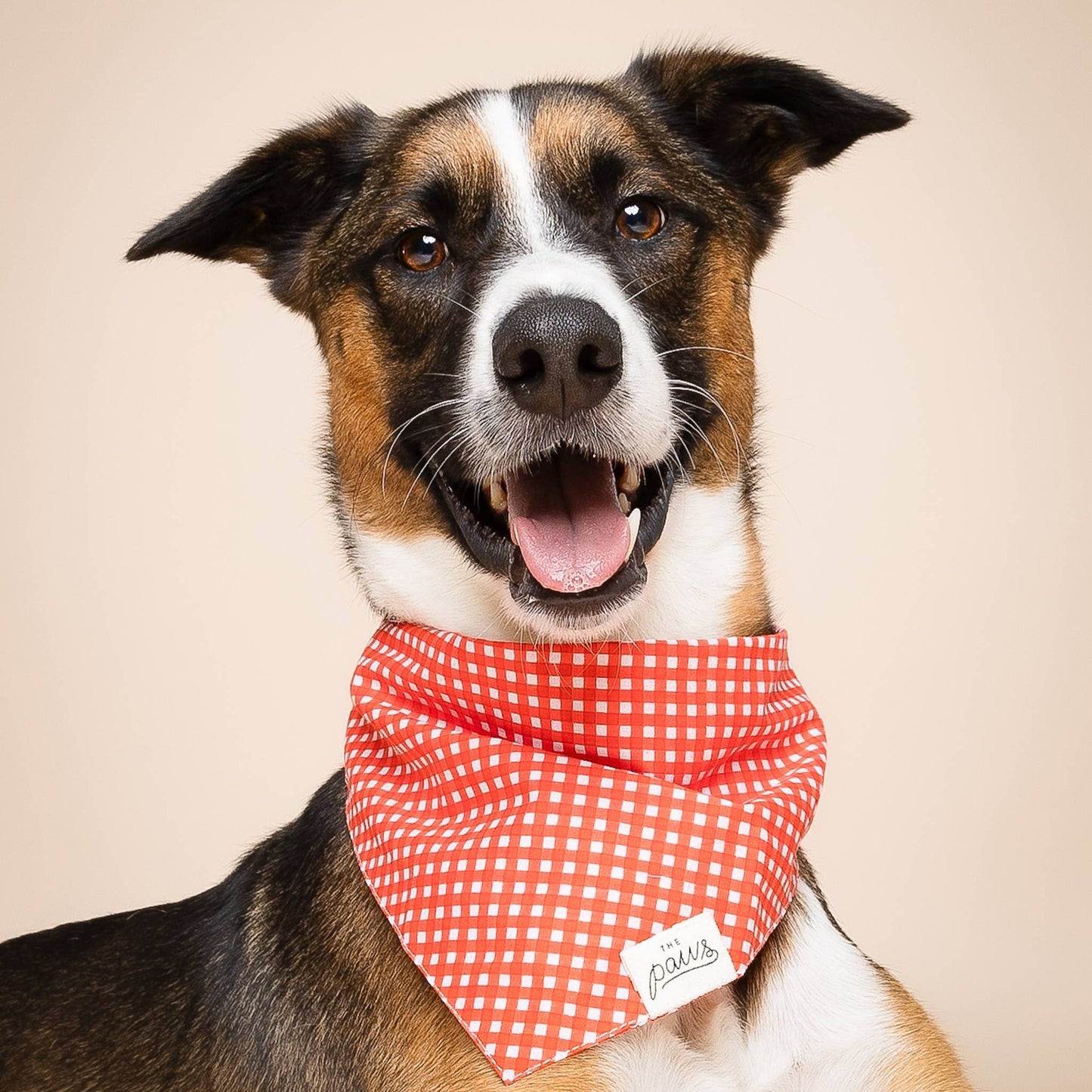 Red Gingham Dog Bandana