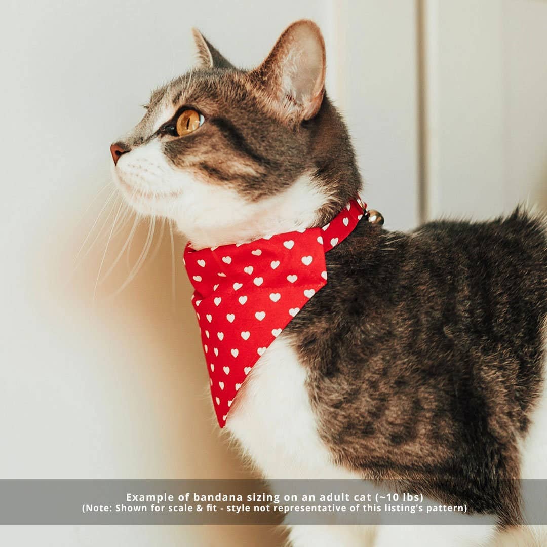 "Golden Hour" - Bandana for Cat + Small Dog