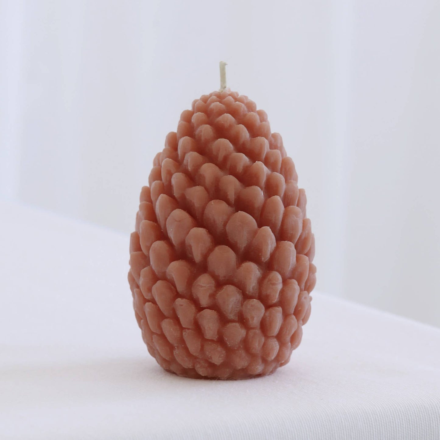 Mo&Co Home Exclusive: Sculpted Beeswax Pine Cones
