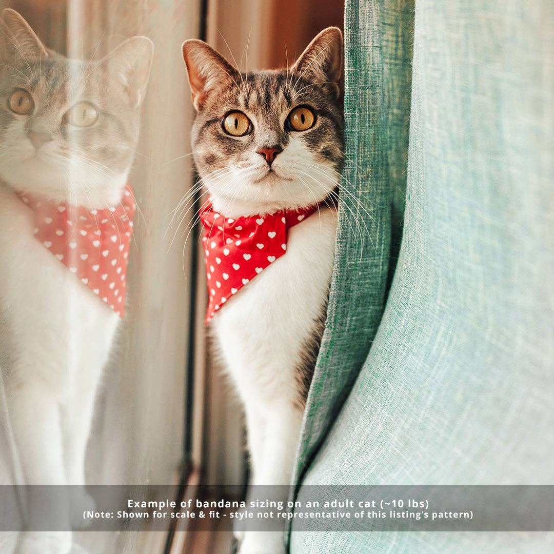 "Carousel" - Bandana for Cat + Small Dog