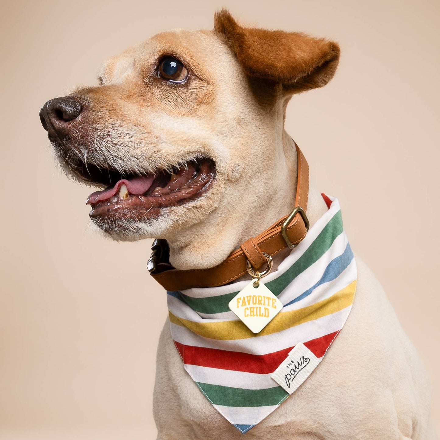 Frontier Dog Bandana