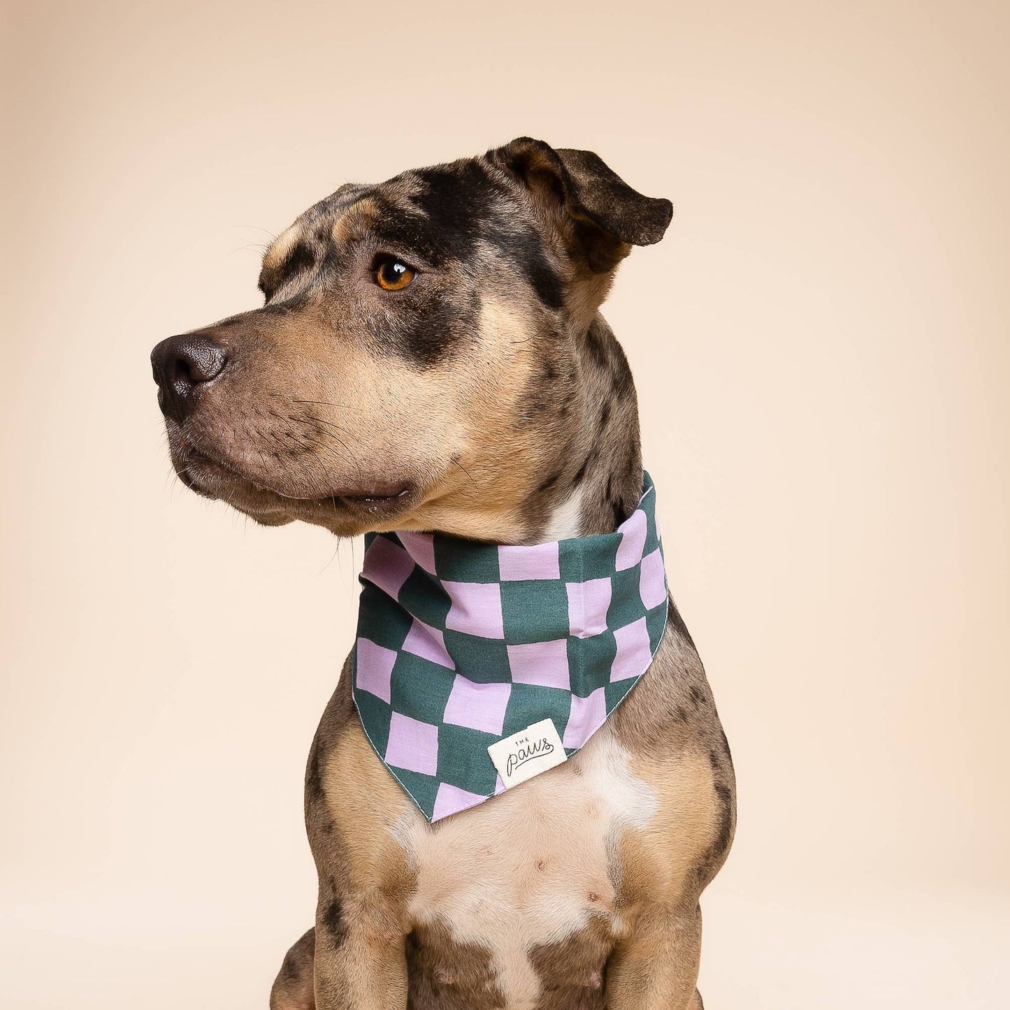 Brooklyn Dog Bandana