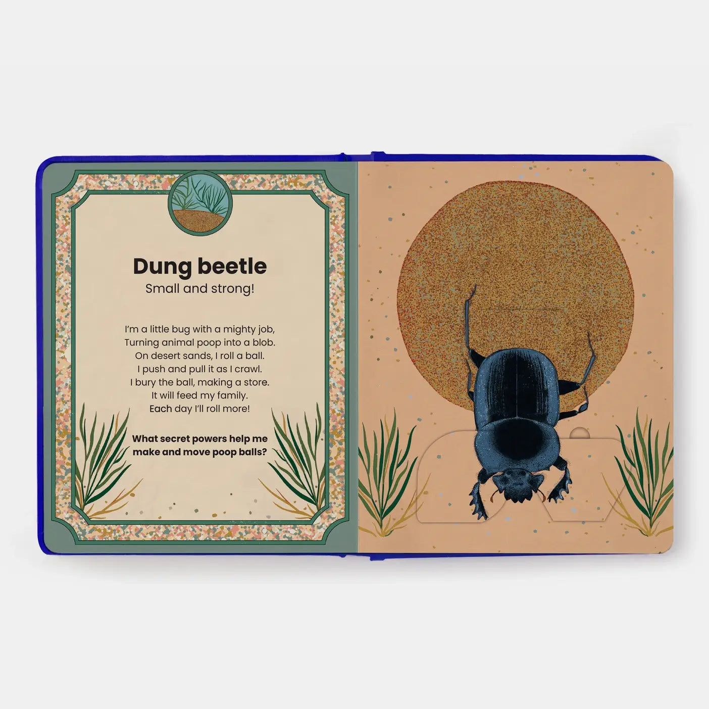 Phaidon | The Secret Powers Of Animals