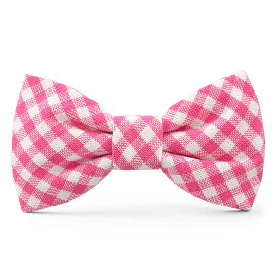 Pink and white checkered bow tie on a white background