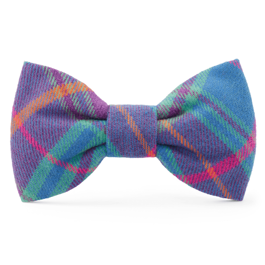 Colorful plaid bow tie on a white background