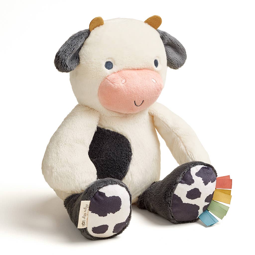 Itzy Ritzy | Goose Sweetie Snuggles™ Plush