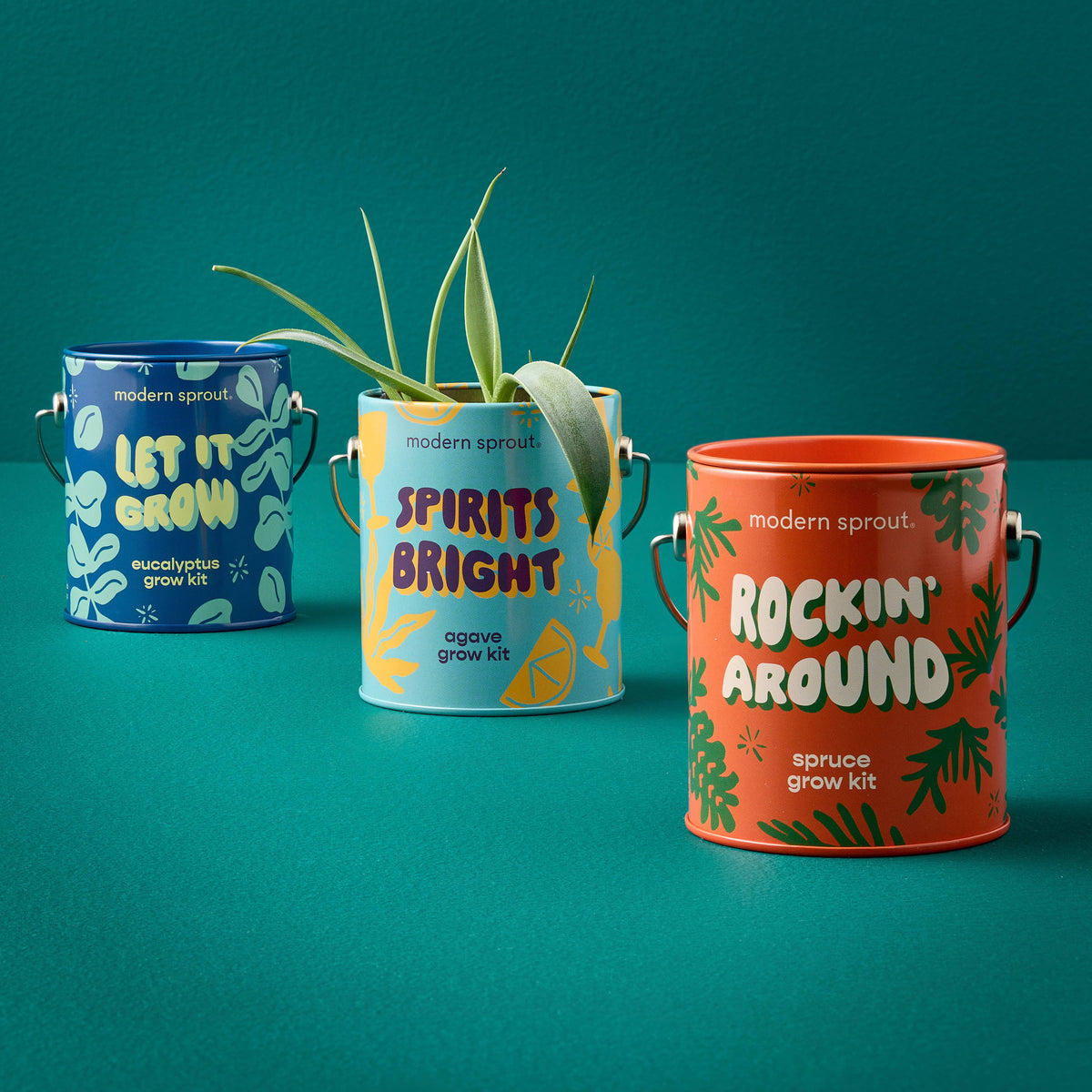 Modern Sprout | Holiday Complimentary Colors Grow Kits