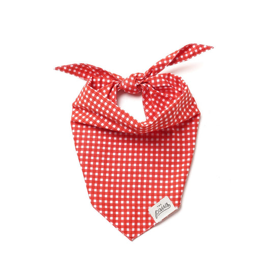 Red Gingham Dog Bandana