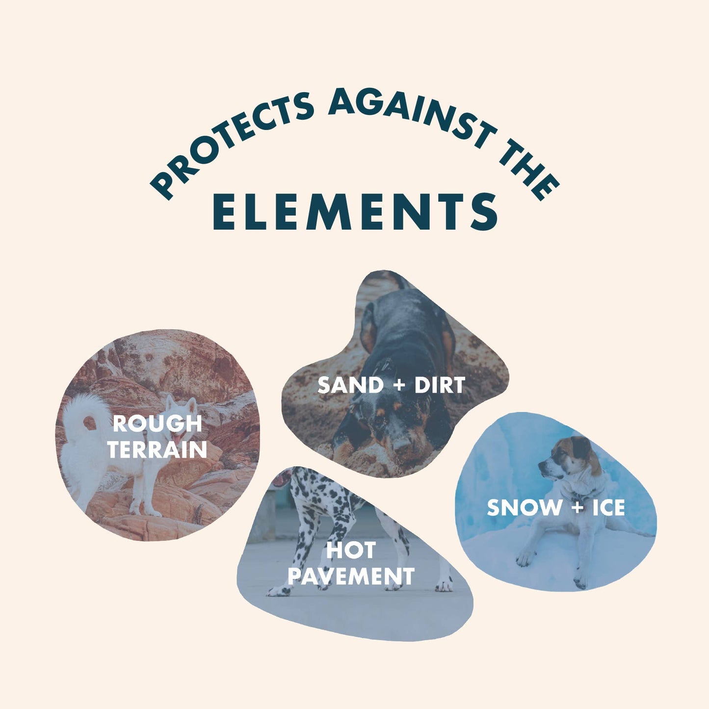 Product advertisement showing dogs in various conditions with text 'Protects Against the Elements' and labels for 'Rough Terrain', 'Sand + Dirt', 'Hot Pavement', and 'Snow + Ice'.