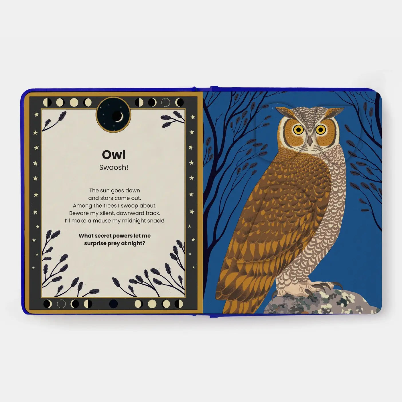 Phaidon | The Secret Powers Of Animals