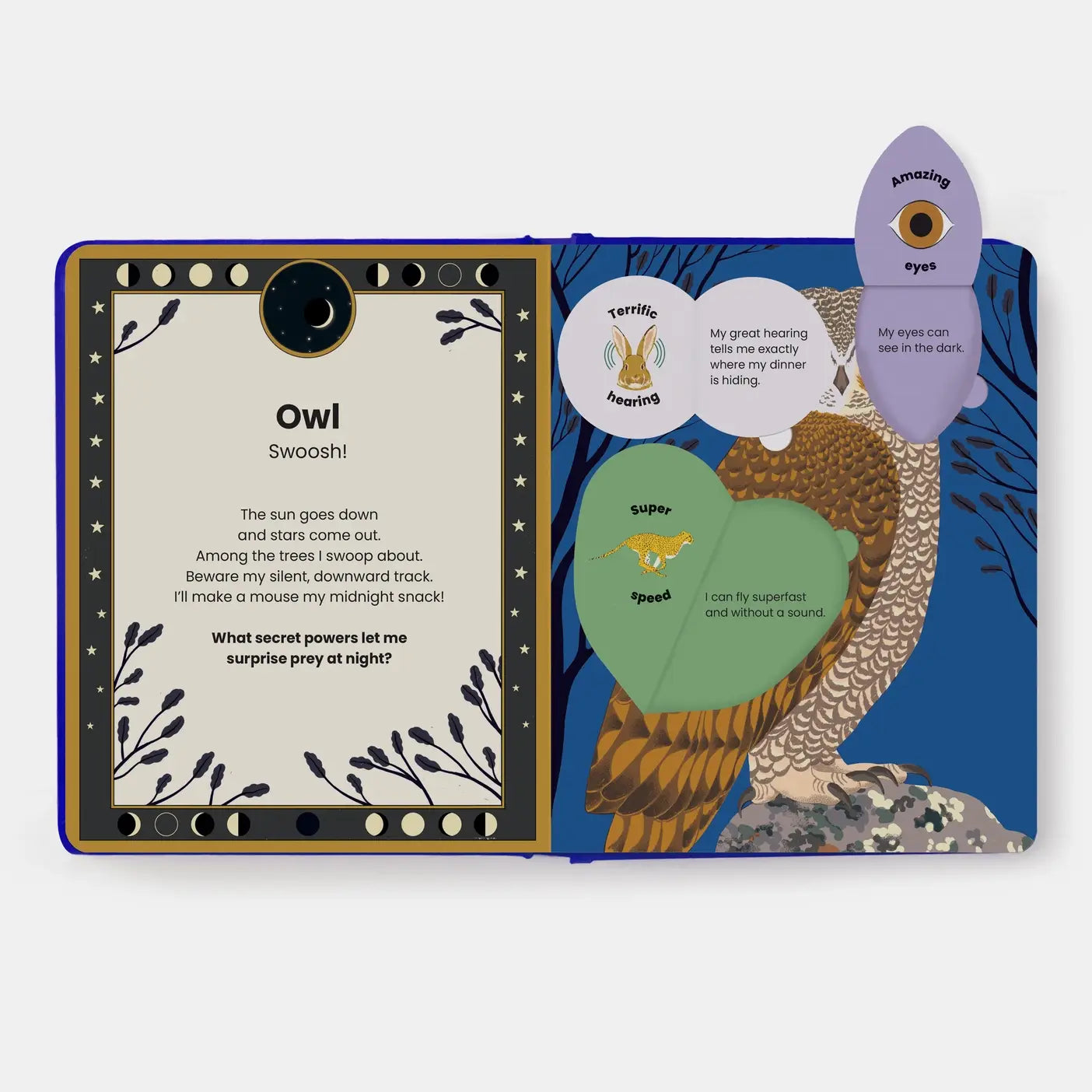 Phaidon | The Secret Powers Of Animals