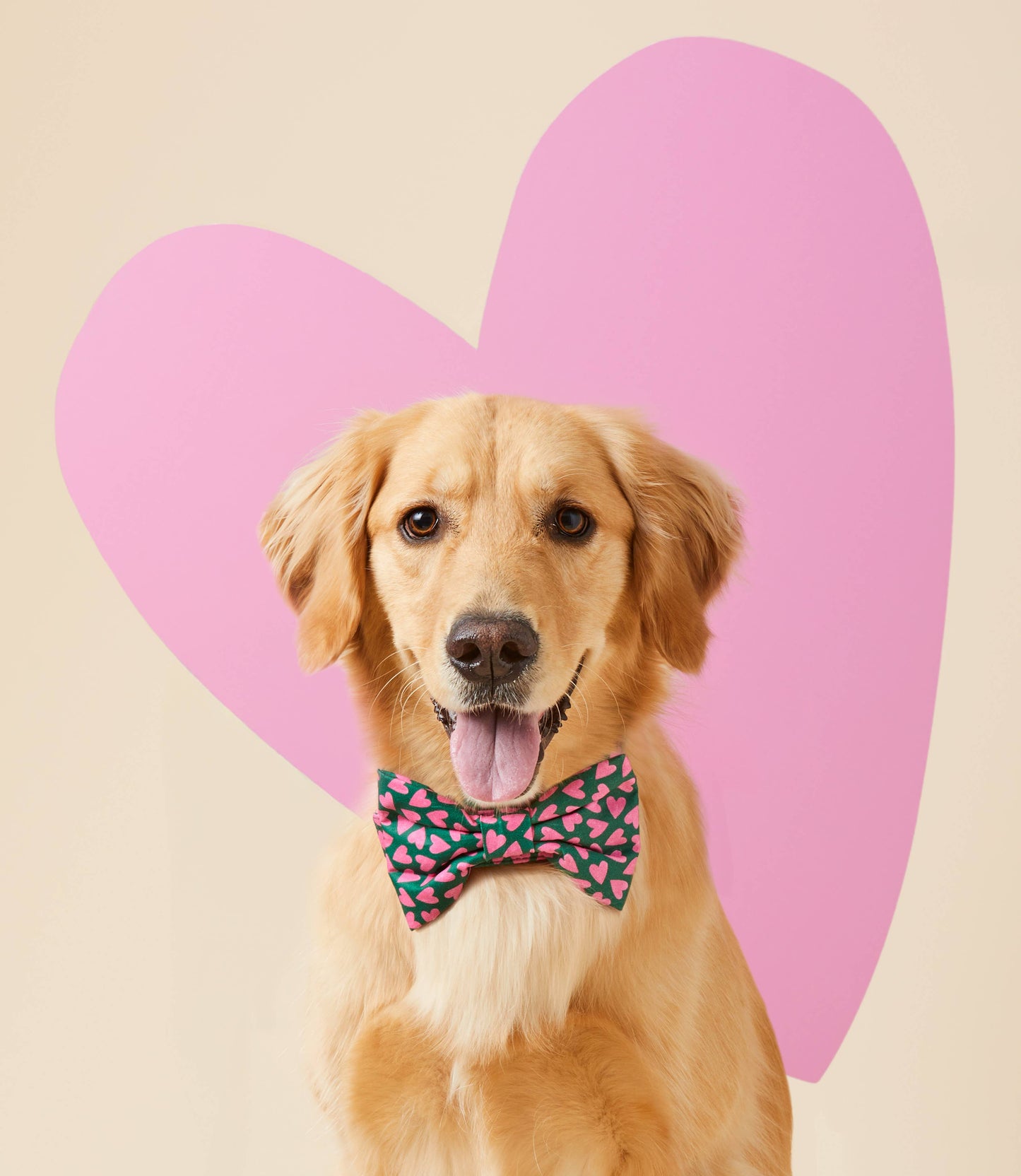 The Foggy Dog | Lovestruck Valentine's Day Dog Bow Tie