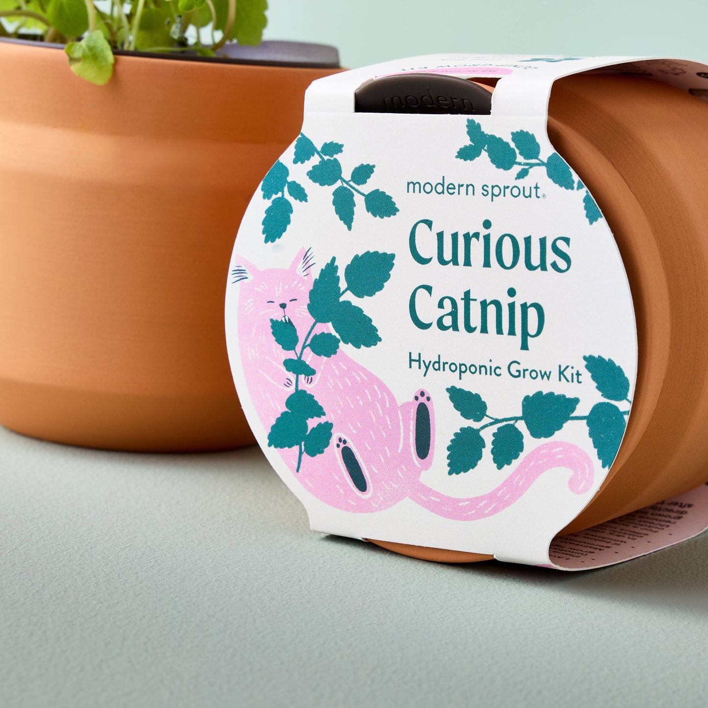 A terracotta-colored hydroponic grow kit by Modern Sprout, featuring a white paper label with a pink cat and teal leaves, set against a blurred terracotta pot with green leaves.