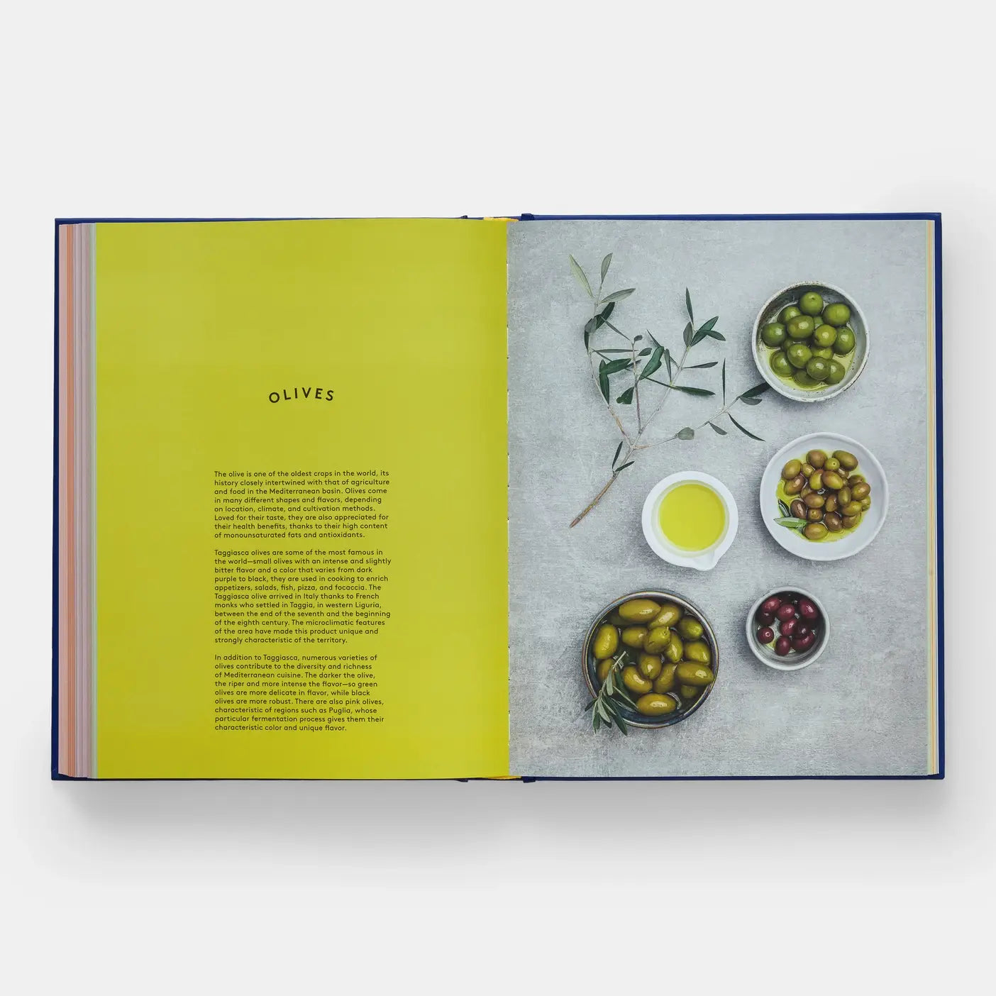 Phaidon | The Book Of Pasta