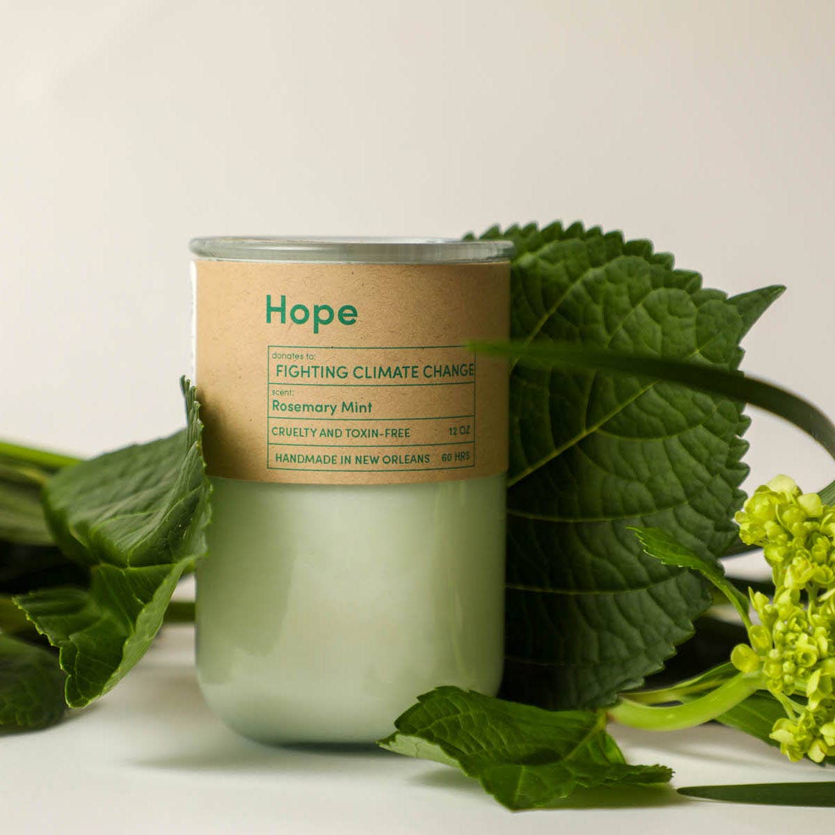 Candle labeled 'Hope' surrounded by green leaves and flowers on a light background