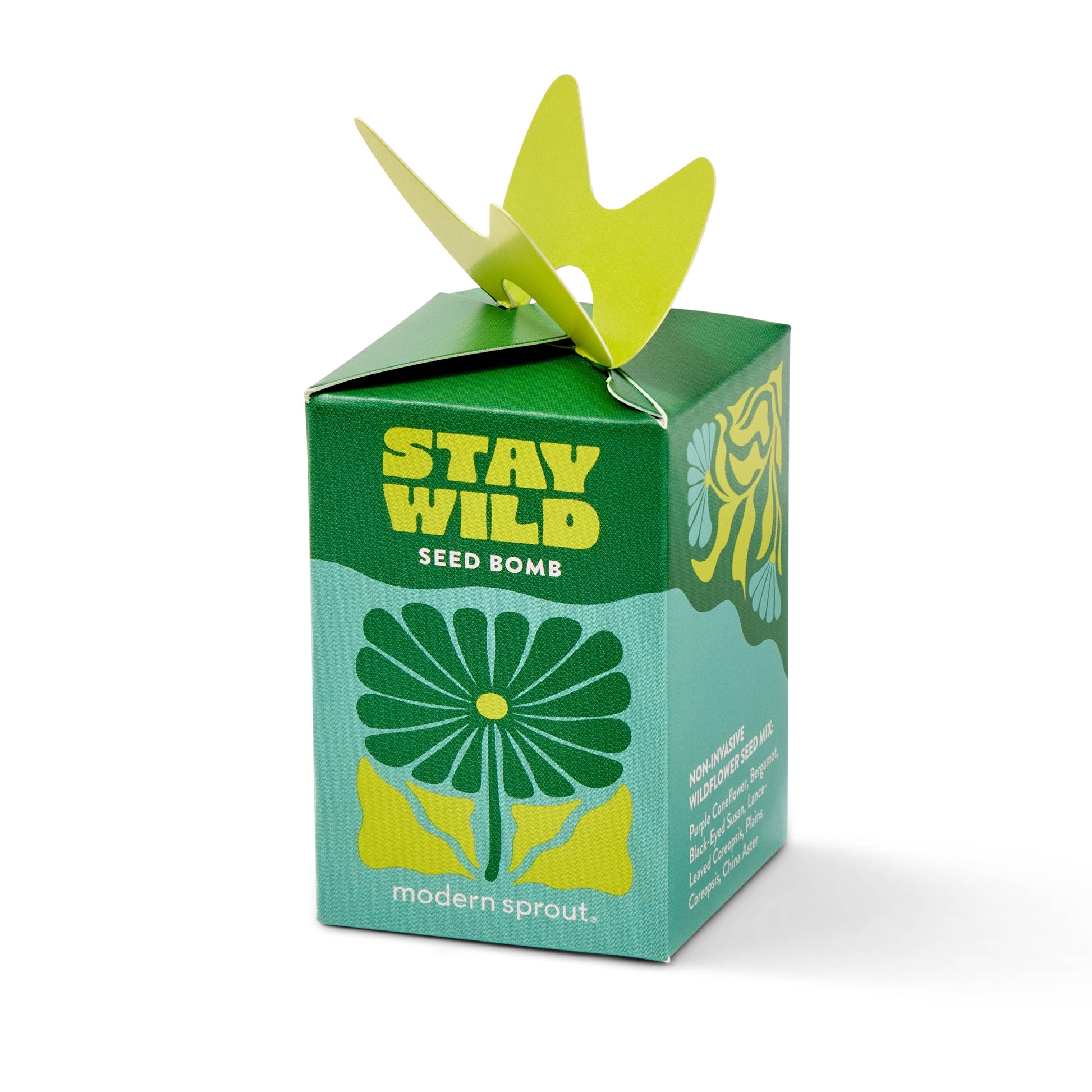 Green and teal seed bomb packaging with a yellow bird-shaped feature on a white background