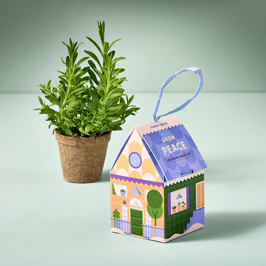 House-shaped plant kit with a potted plant on a light green background