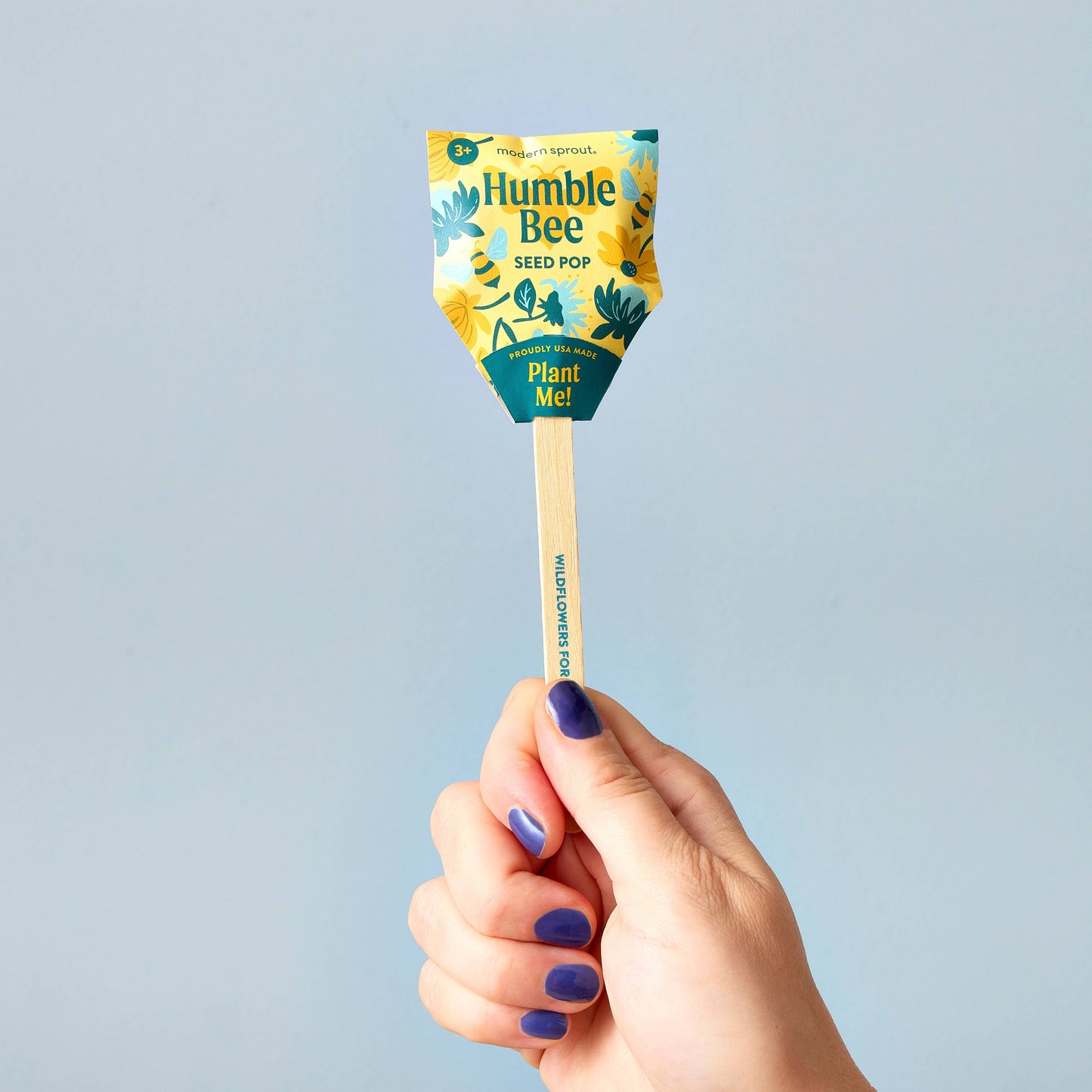 Hand holding a 'Humble Bee Seed Pop' on a light blue background