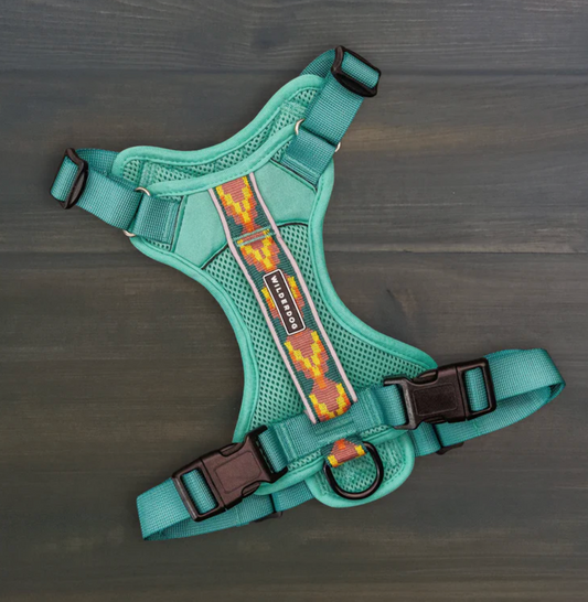 Wilderdog | Seafoam Dog Harness