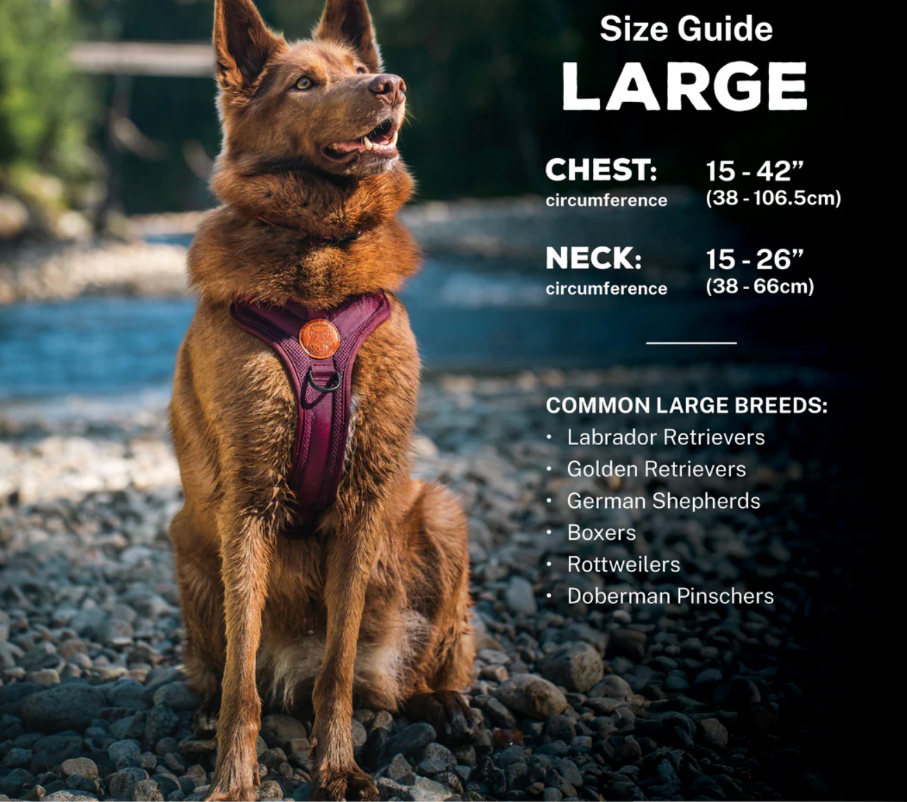 Wilderdog | Seafoam Dog Harness