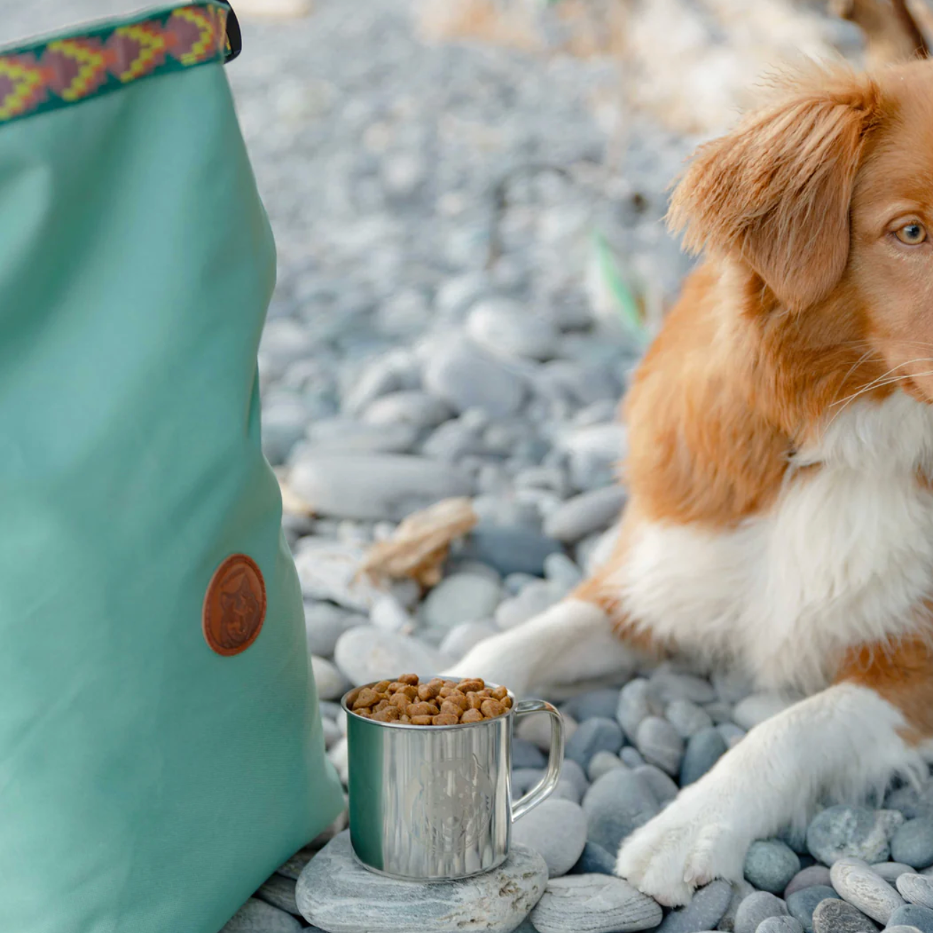 A light teal dog bag with a brown circular patch sits on a pebble-covered beach next to a small metal cup filled with dog kibble, with a brown and white dog sitting in the background.