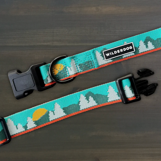 A dog collar with a landscape pattern of pine trees and a sun in shades of teal, green, white, and yellow, featuring a black plastic buckle and a black brand label that reads 'WILDERDOG'.