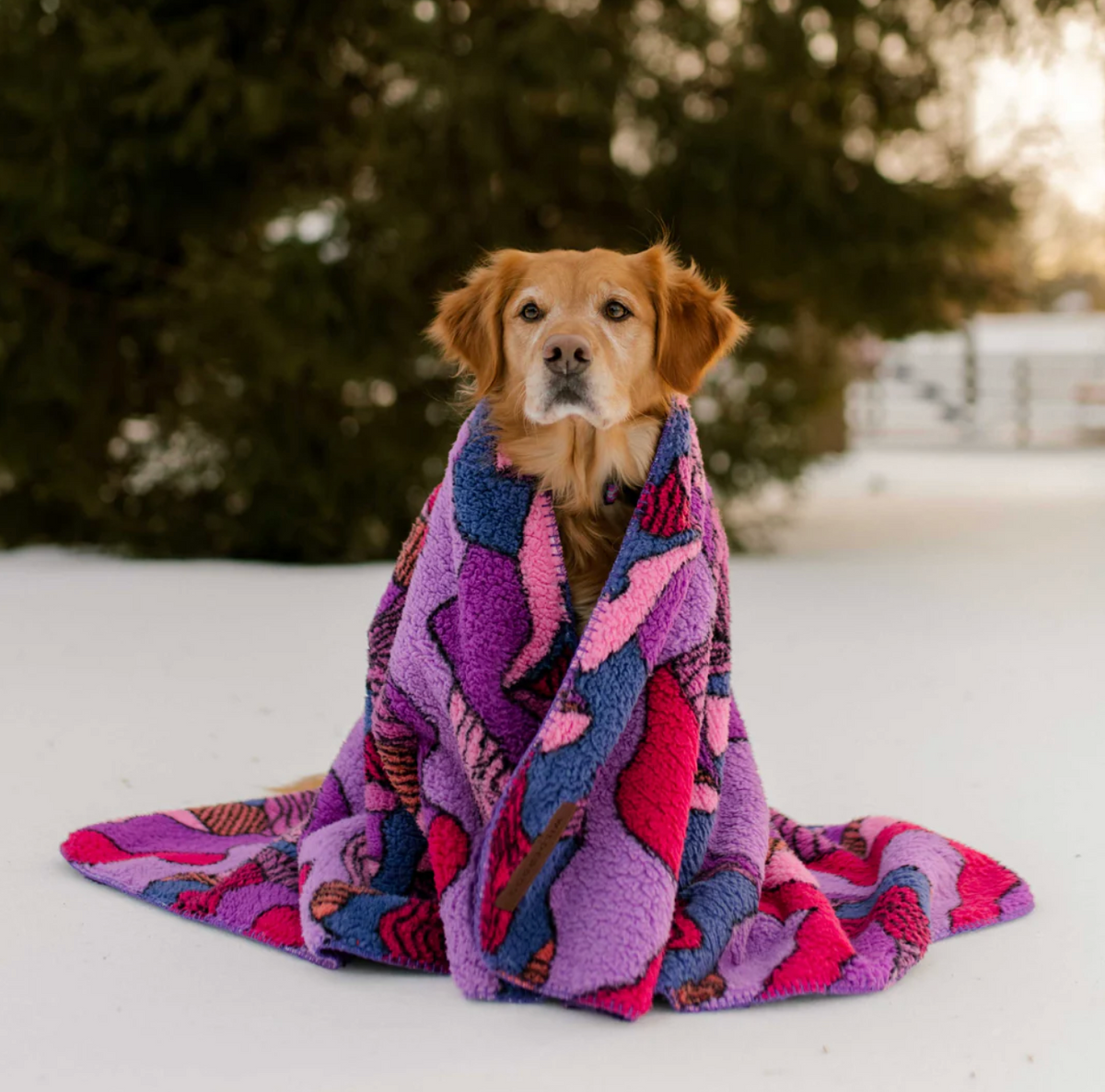 Wilderdog | Sherpa Fleece Blanket S