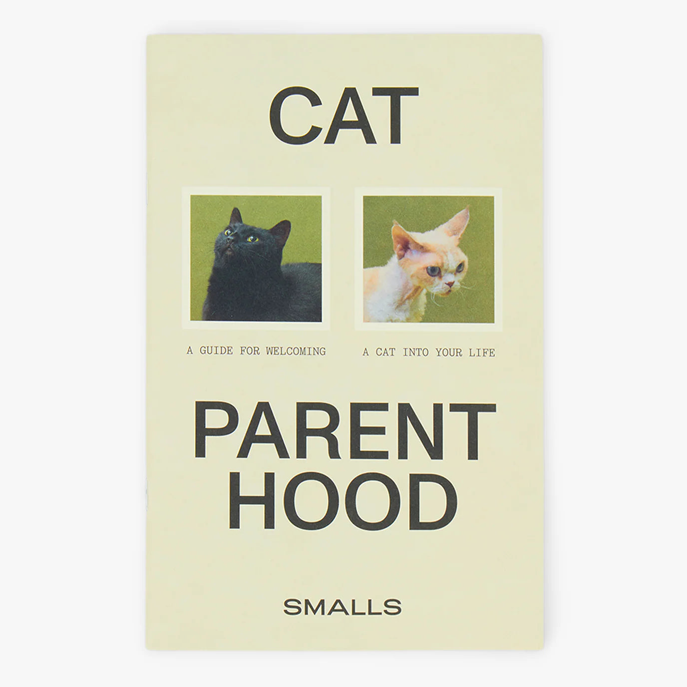 Smalls | Cat Parenthood Catalogue