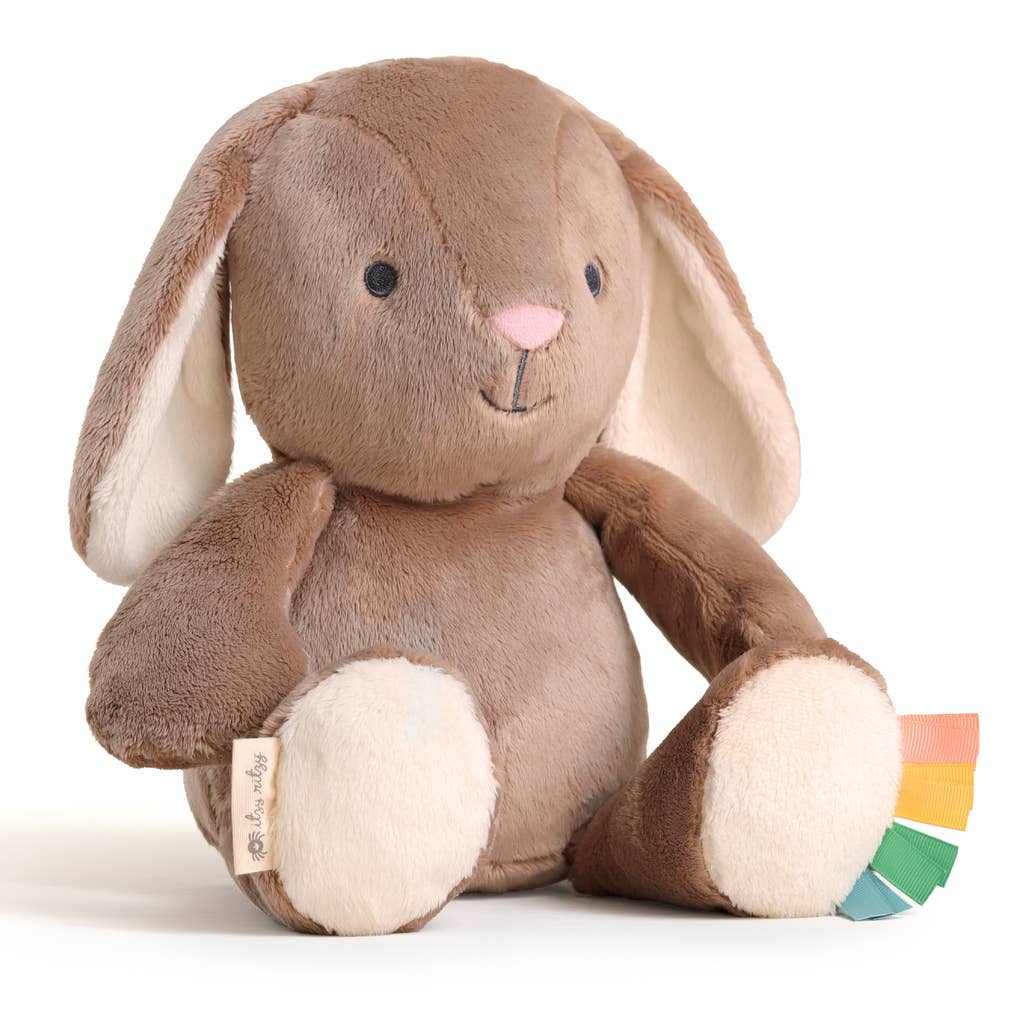 Itzy Ritzy | Goose Sweetie Snuggles™ Plush