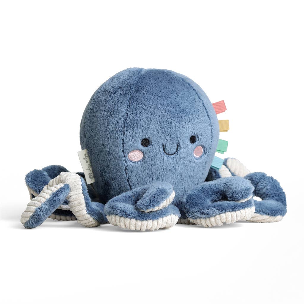 Itzy Ritzy | Goose Sweetie Snuggles™ Plush