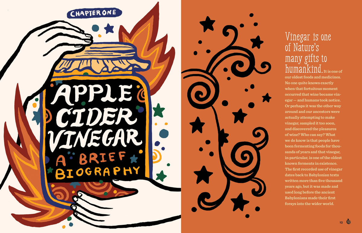 Hachette Book Group | Fire Cider! Book